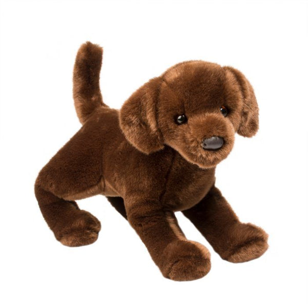 Cocoa Chocolate Lab | Douglas Dog | 16