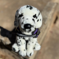 Dalmatian plush by Douglas Dog Emotional Support Stuffed Animal