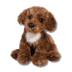 Darby Doodle | Douglas Dog
