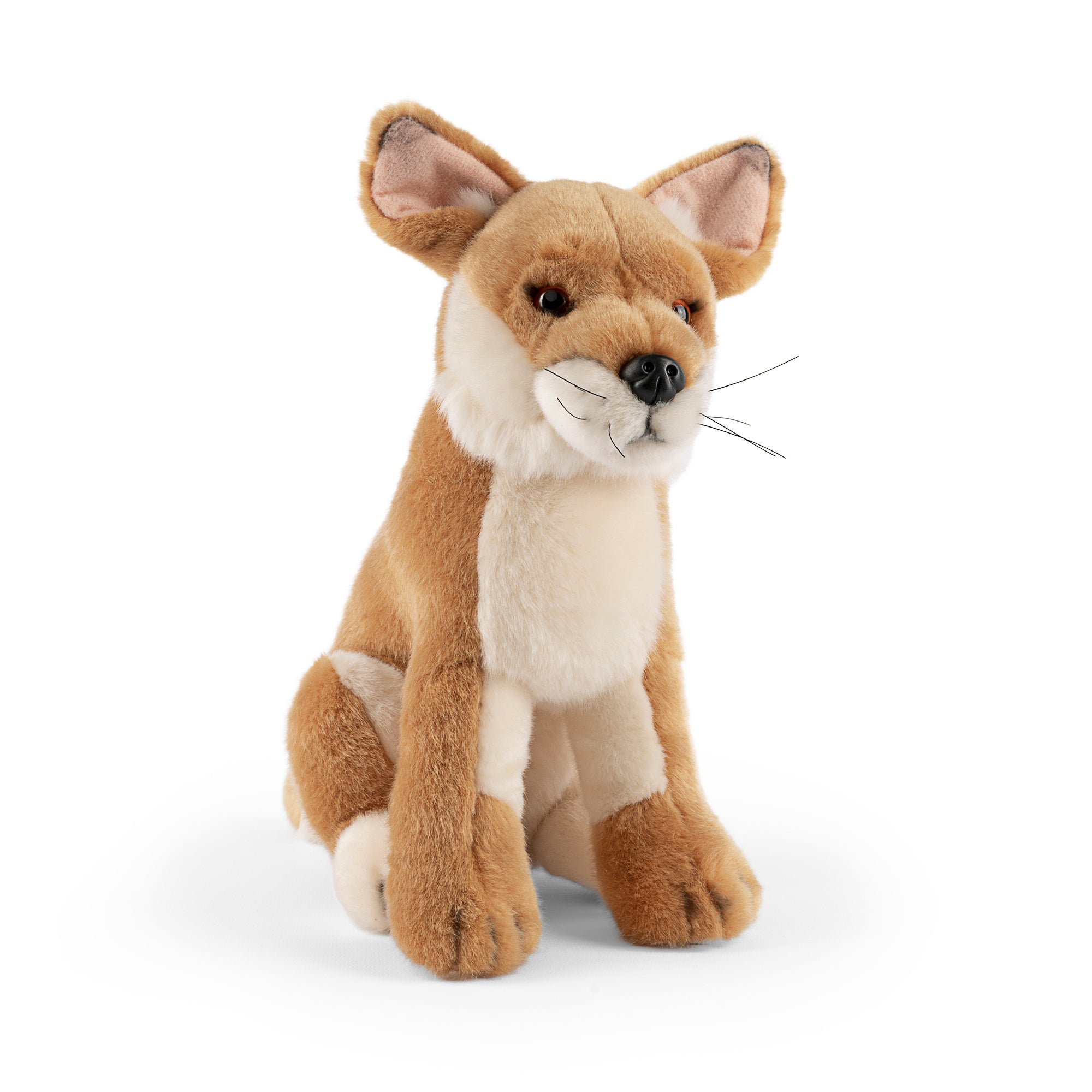Dingo plush living nature
