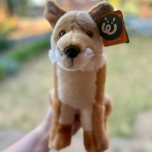 Dingo plush living nature