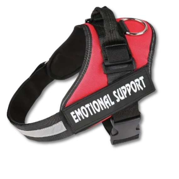 Emotional Support Vest | Assorted Colours | ESSA Gear – Little Paws ...