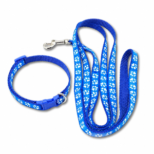 Blue pet leash and matching collar set with a white paw print pattern and silver metal hardware, shown on a plain white background.