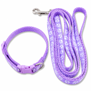 Purple dog collar and matching leash set with a paw print pattern, shown on a plain white background.