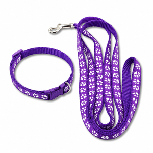 Purple pet collar and matching leash set with white paw print pattern and silver metal hardware, shown on a plain white background.