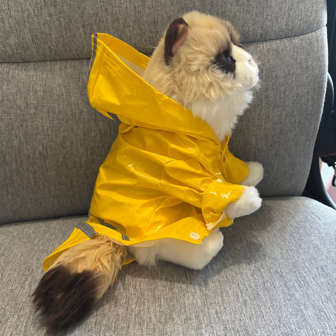 Cat wearing a yellow raincoat sitting on a gray couch