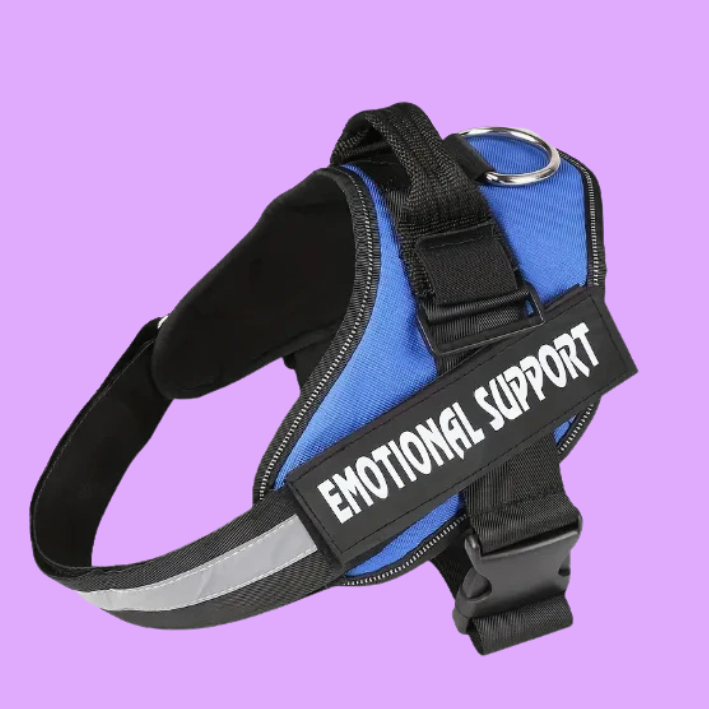 A blue and black dog vest with the words emotional support on the side. On a purple background.