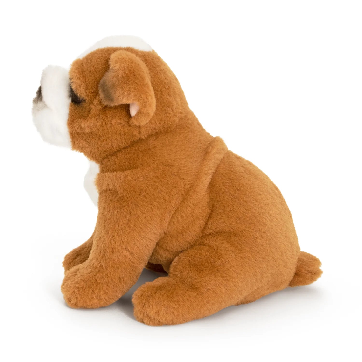 Plush toy bulldog sitting on a white background