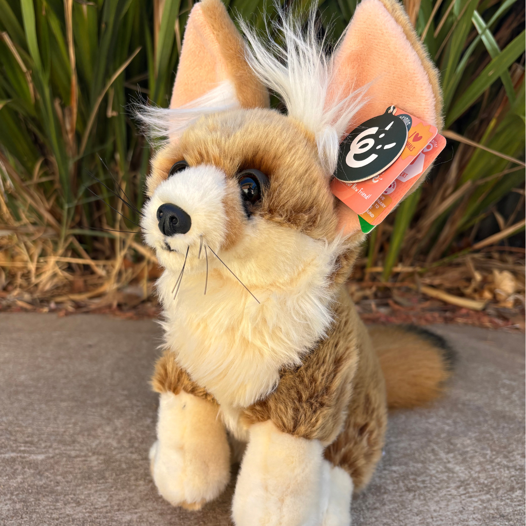 Fennec Fox by Living Nature 