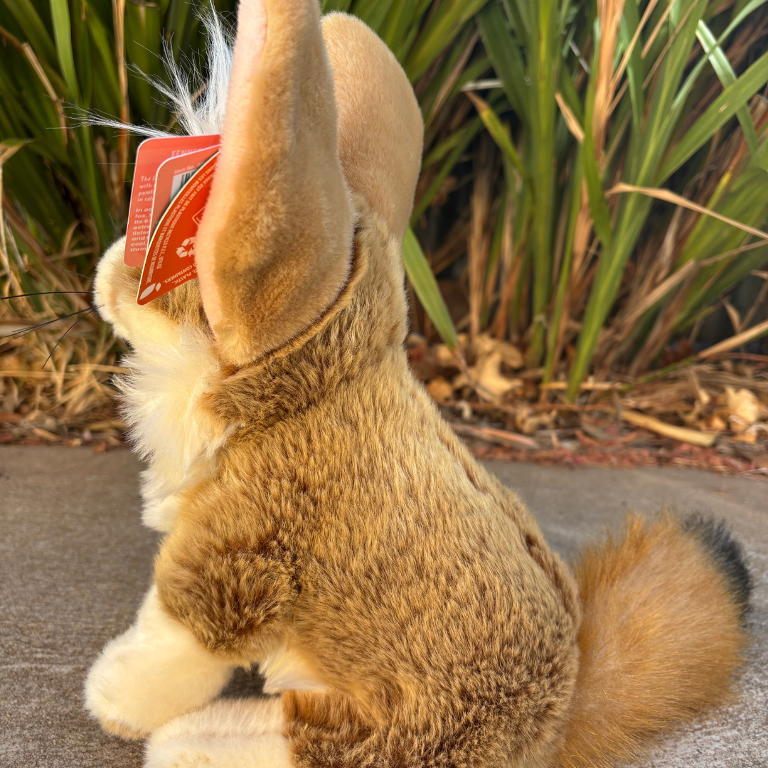 Fennec Fox by Living Nature side