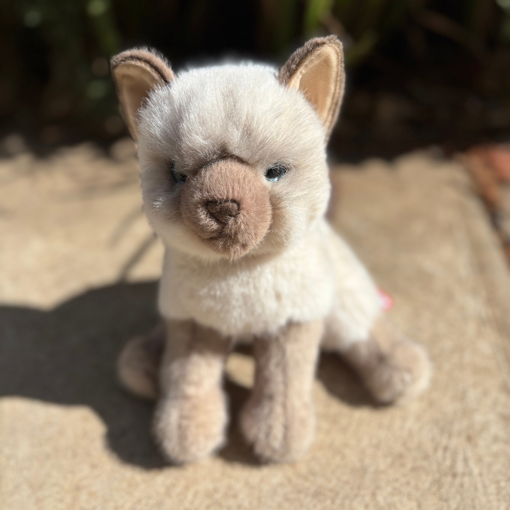 Emotional Support Stuffed Animal. Plush cat.