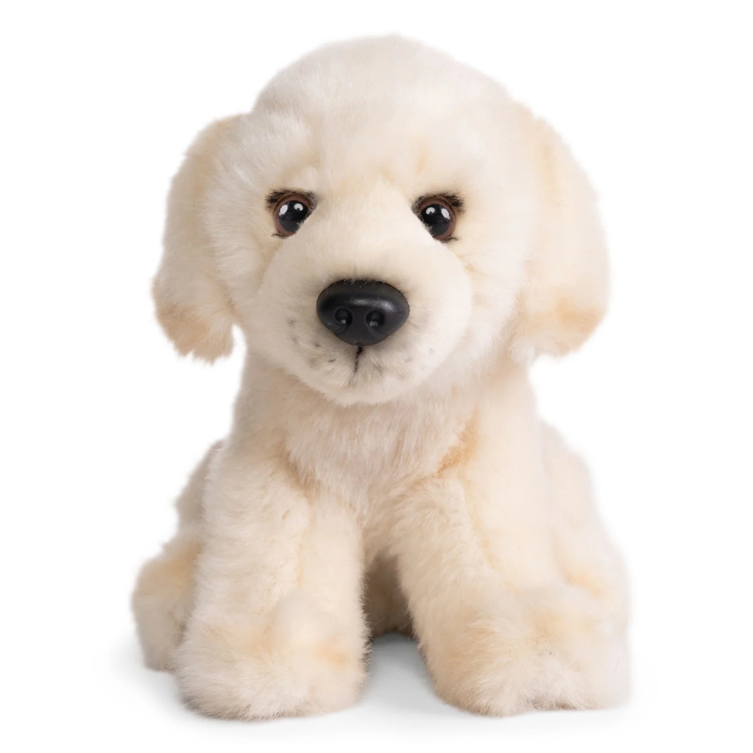 Plush toy dog sitting on a white background