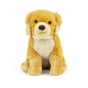 A plush golden retriever dog toy sitting on a clean white background.