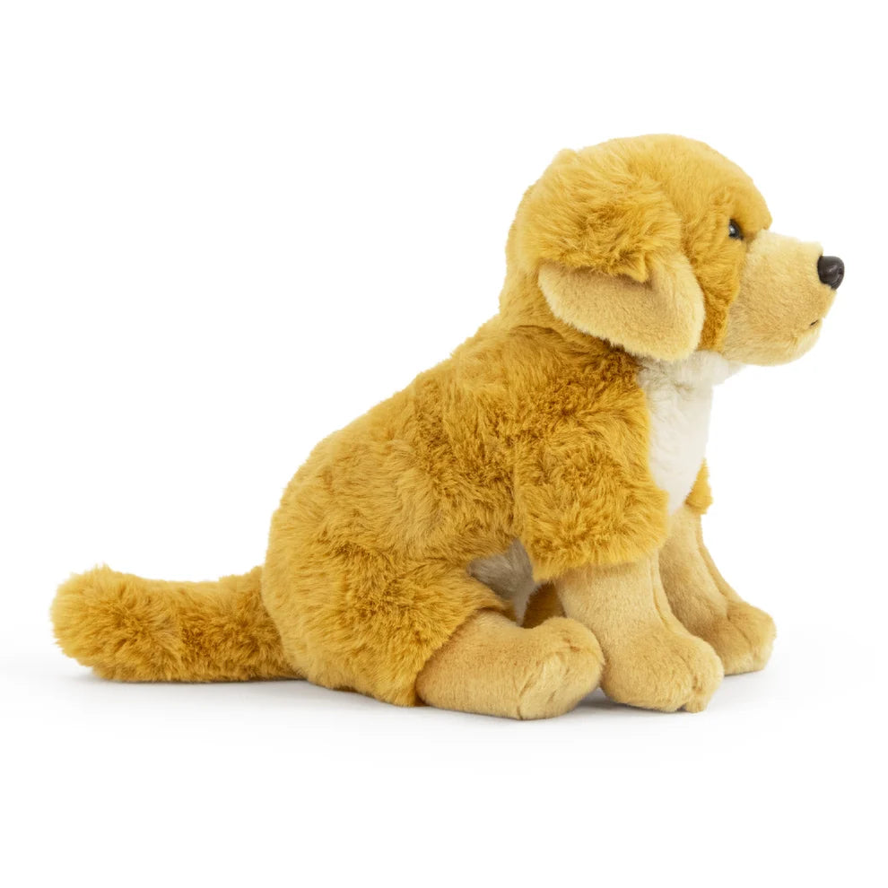 A plush golden retriever dog toy sitting down, featuring golden-brown fur with a cream-colored chest and muzzle, photographed on a solid white background.