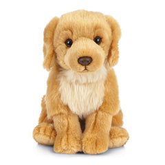 Golden Retriever Dog | Living Nature | Plushie