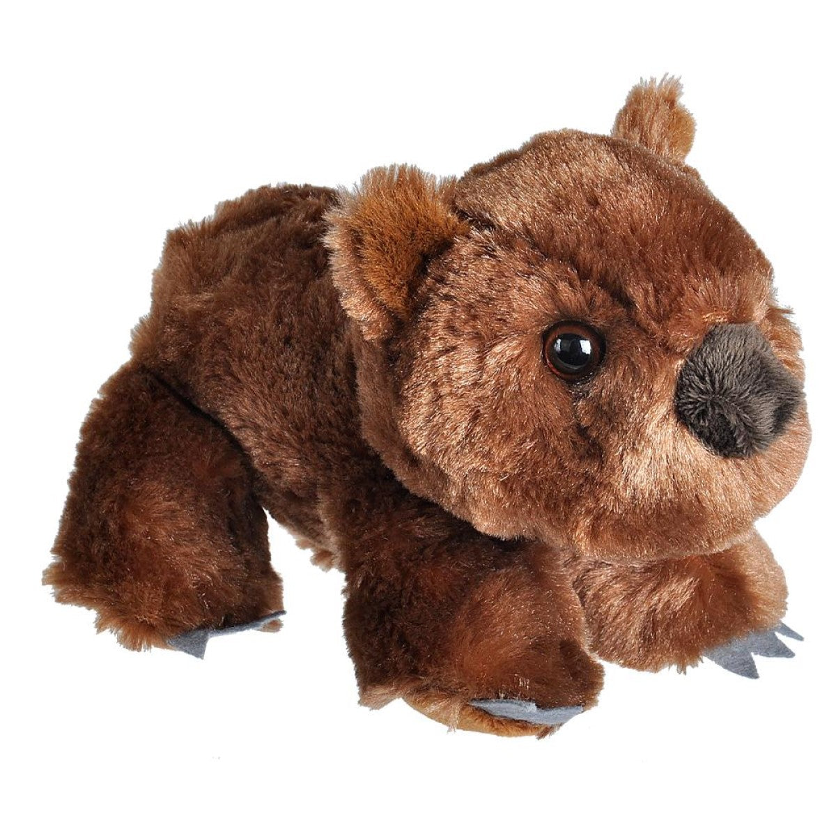A brown plush toy wombat with soft fur, black eyes, a black nose, and small gray claws, photographed on a plain white background.