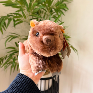 A small brown plush bear toy being held up by a person's hand, with a green potted plant and a light-colored wall in the background.