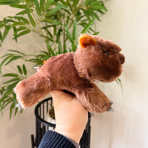 A small brown plush bear hand puppet being held up by a person's hand, with a green plant and light-colored wall in the background.