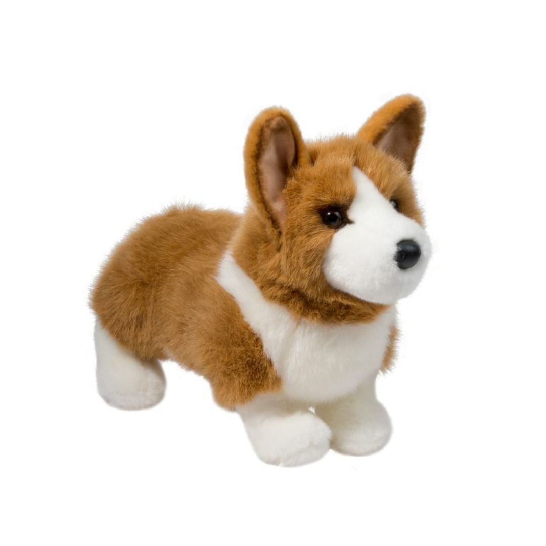 Ingrid Corgi | Douglas Dog