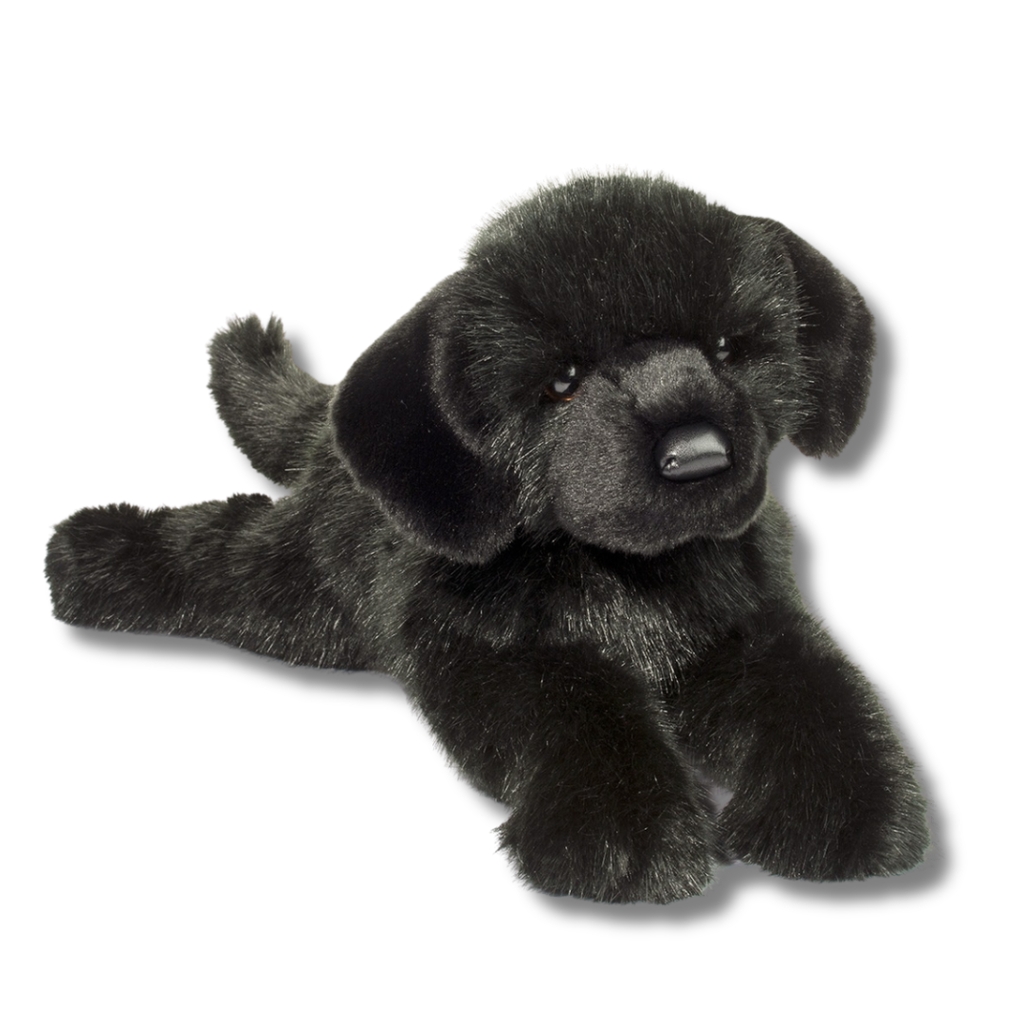 Black plush dog toy on a white background