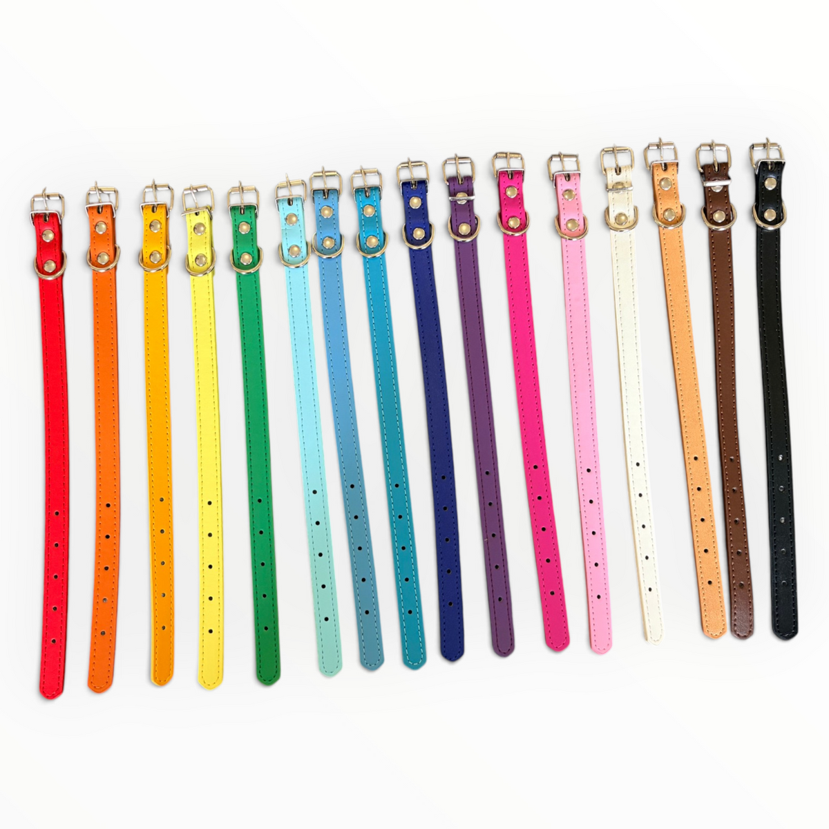 A row of 16 different coloured leather dog collar with silver metal hardware and white stitching, shown against a plain white background.