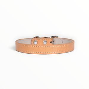 A light tan leather dog collar with silver metal hardware and white stitching, shown against a plain white background.