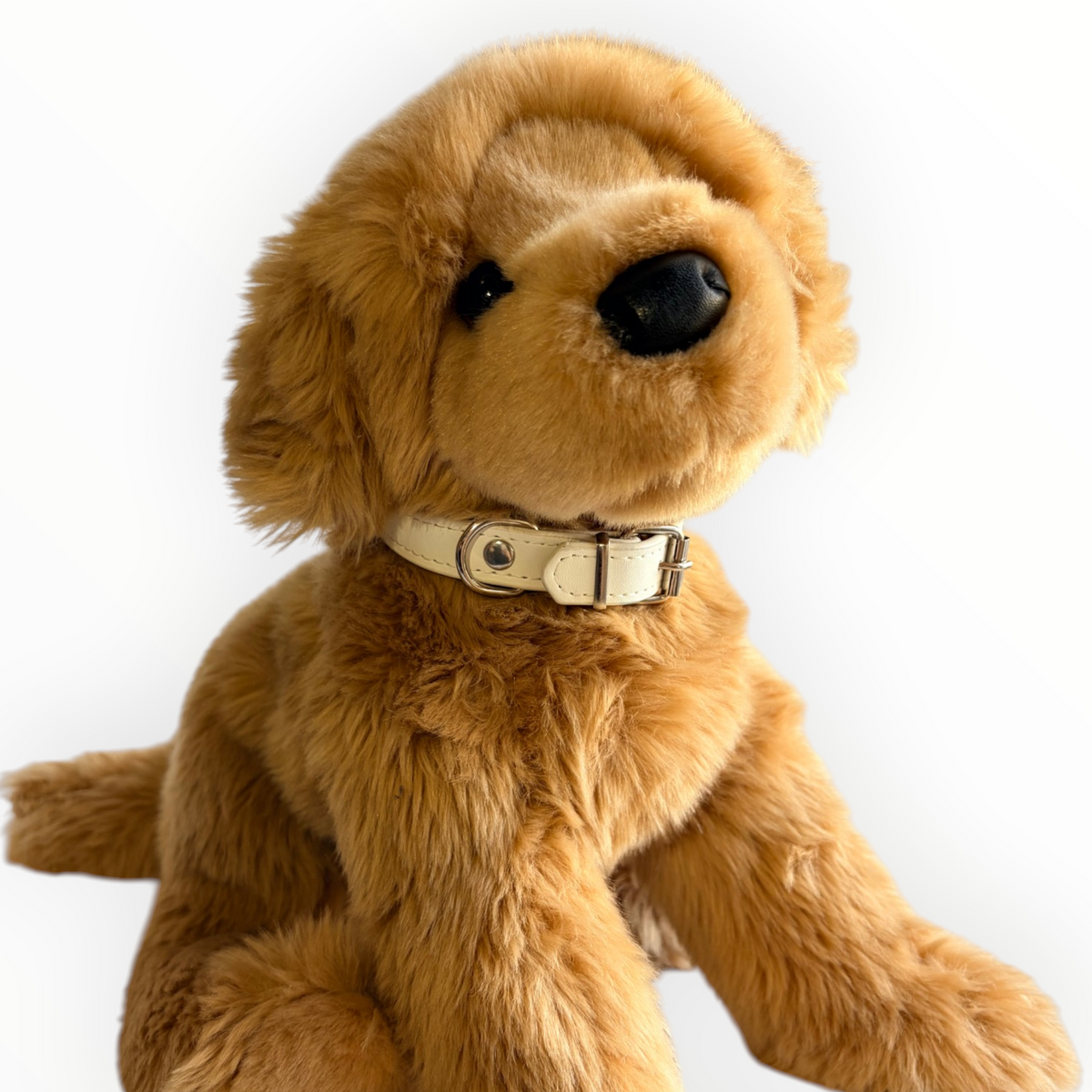 A golden retriever plush dog wearing a cream-colored collar with a silver buckle, photographed against a plain white background.