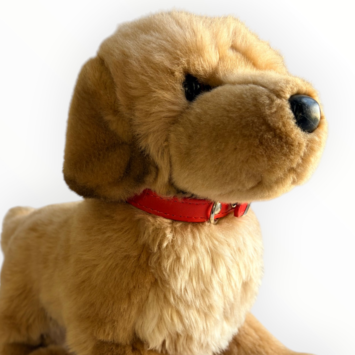 A golden retriever plush toy with soft tan fur, black eyes, a black nose, and a bright red collar, photographed against a clean white background.