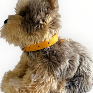 A close-up of a fluffy dog toy or plush dog in tan and gray fur wearing a bright yellow collar, photographed against a plain white background.