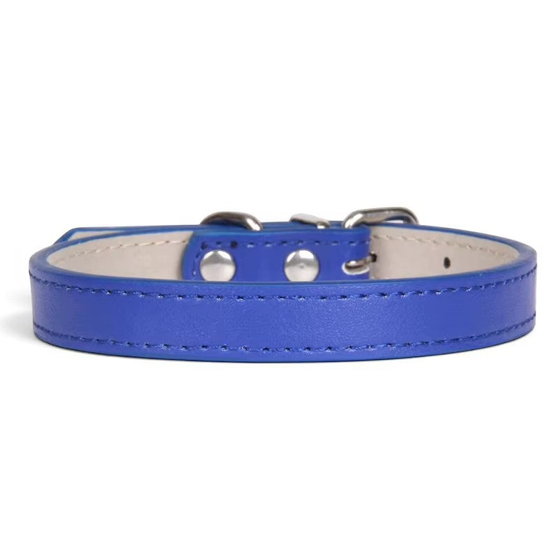 A royal blue leather dog collar with silver-tone metal hardware and a light beige interior lining, shown against a plain white background.