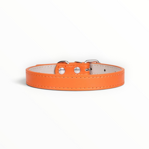 A orange leather dog collar with silver metal hardware and white stitching, shown against a plain white background.