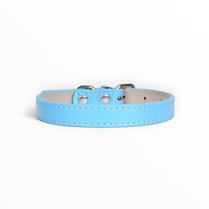 A light blue leather dog collar with silver metal hardware and white stitching, shown against a plain white background.
