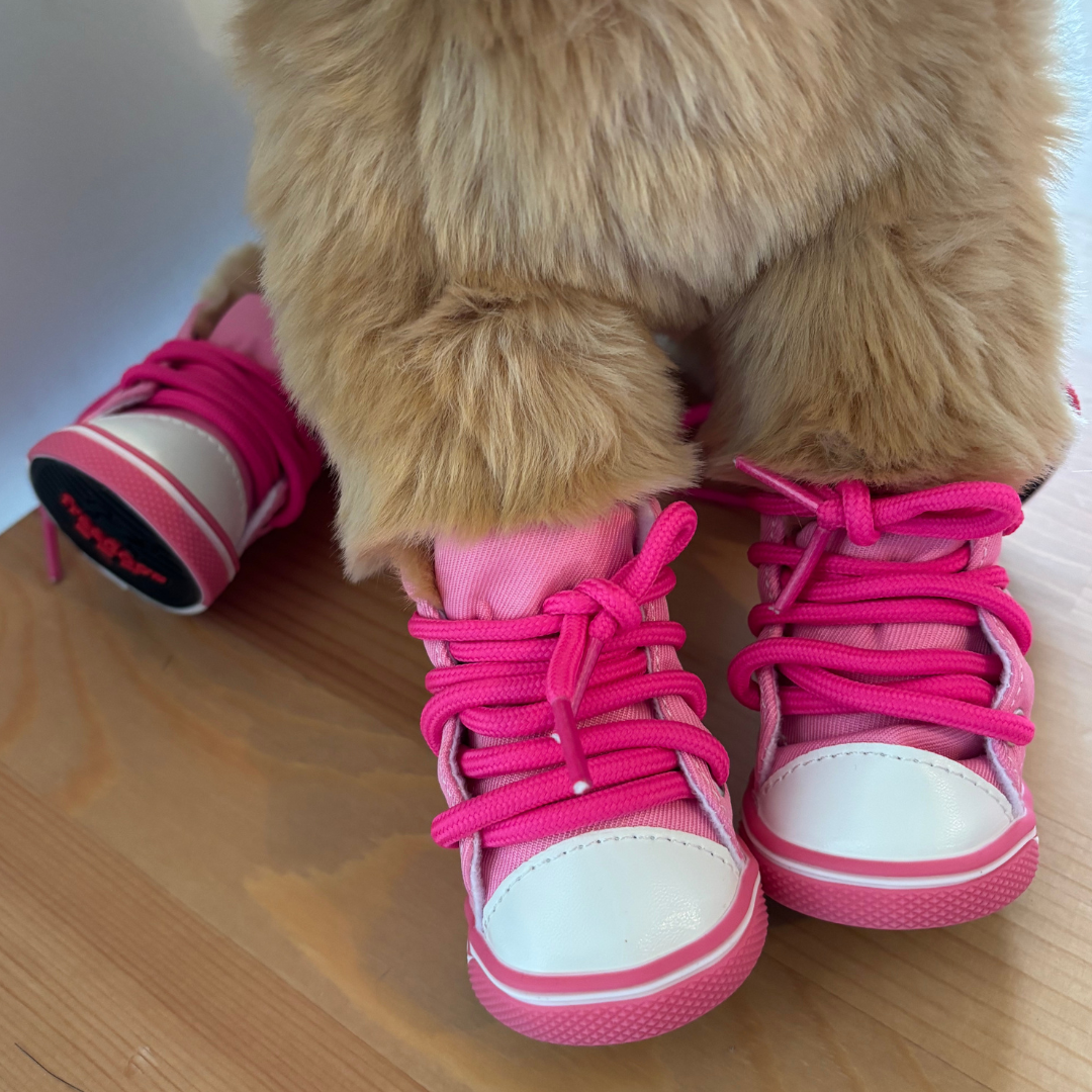 Teddy bear wearing pink high-top sneakers on a wooden surface