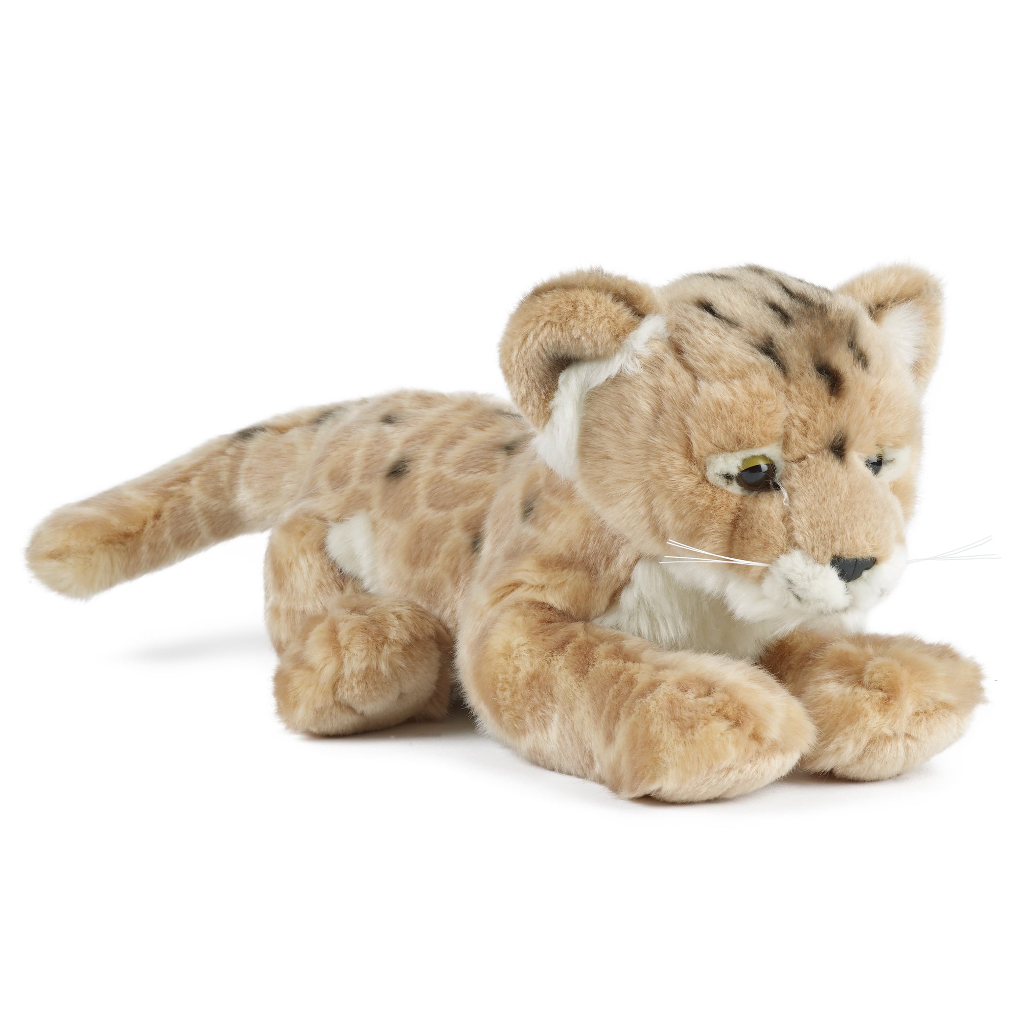 Plush toy lion cub on a white background