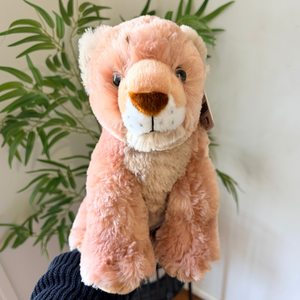 A plush teddy bear with soft peach-pink fur, a cream muzzle, and a brown snout, photographed indoors against a white wall with green plant leaves in the background.