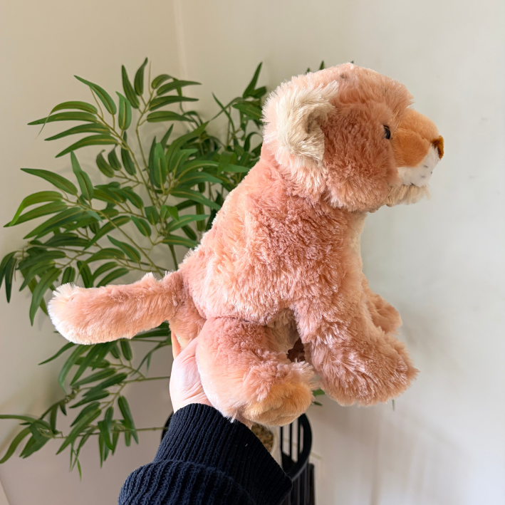 A plush lion toy being held by a person's hand in front of a white wall and green plant.
