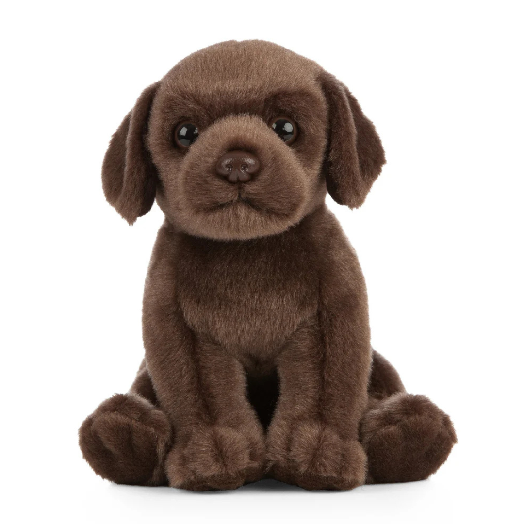 Chocolate Labrador Puppy | Living Nature | Plushie