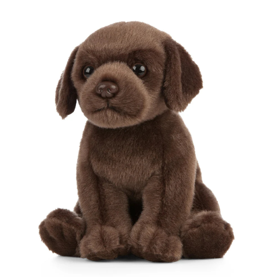 Chocolate Labrador Puppy | Living Nature | Plushie