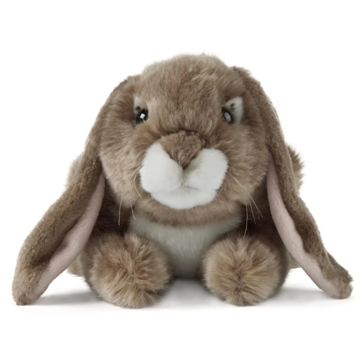 Plush toy rabbit with brown fur and white chest on a white background