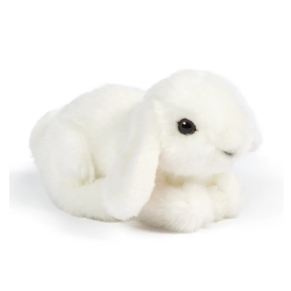 Lop Eared Bunny | Living Nature | Plushie – Little Paws Plushies