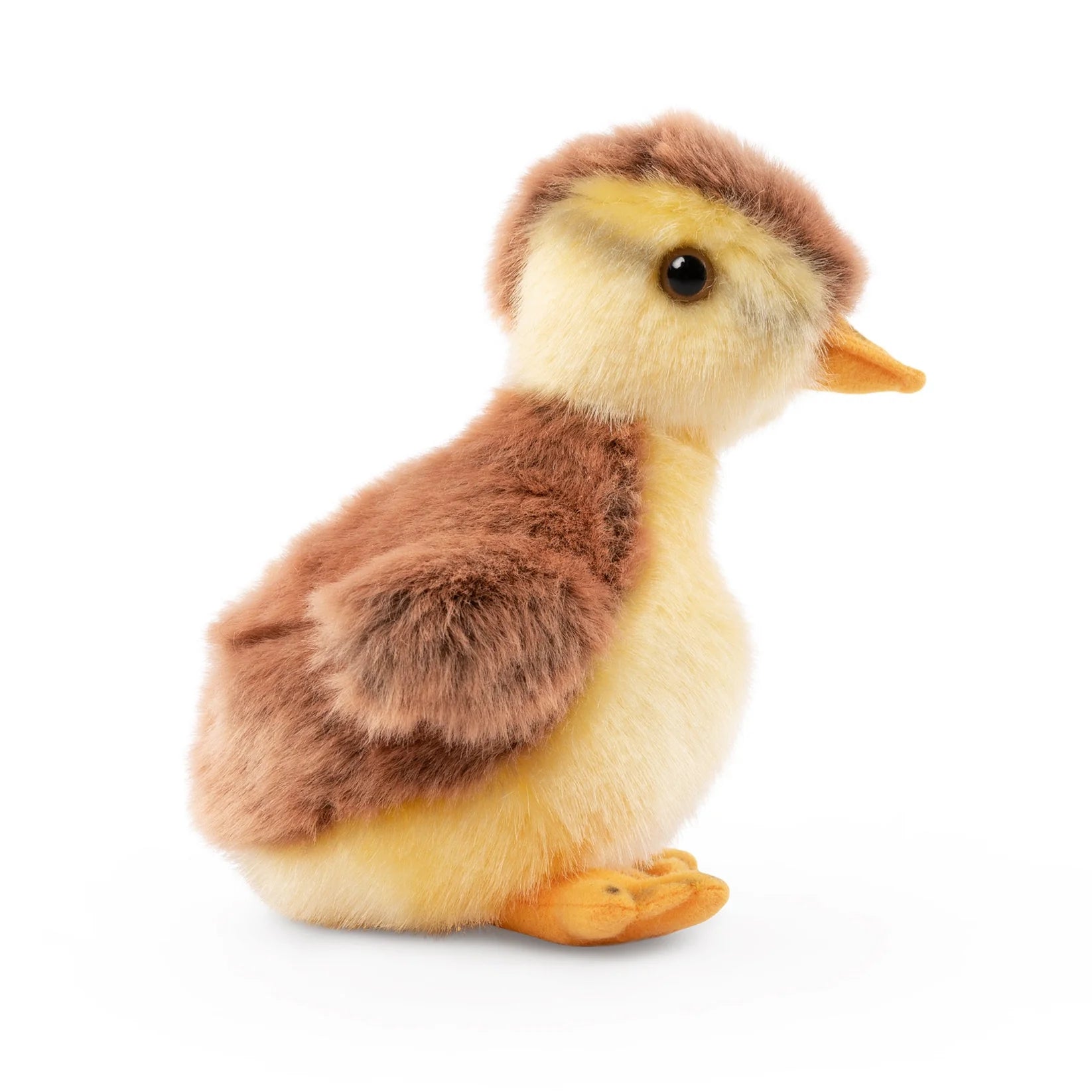 Plush toy duckling on a white background