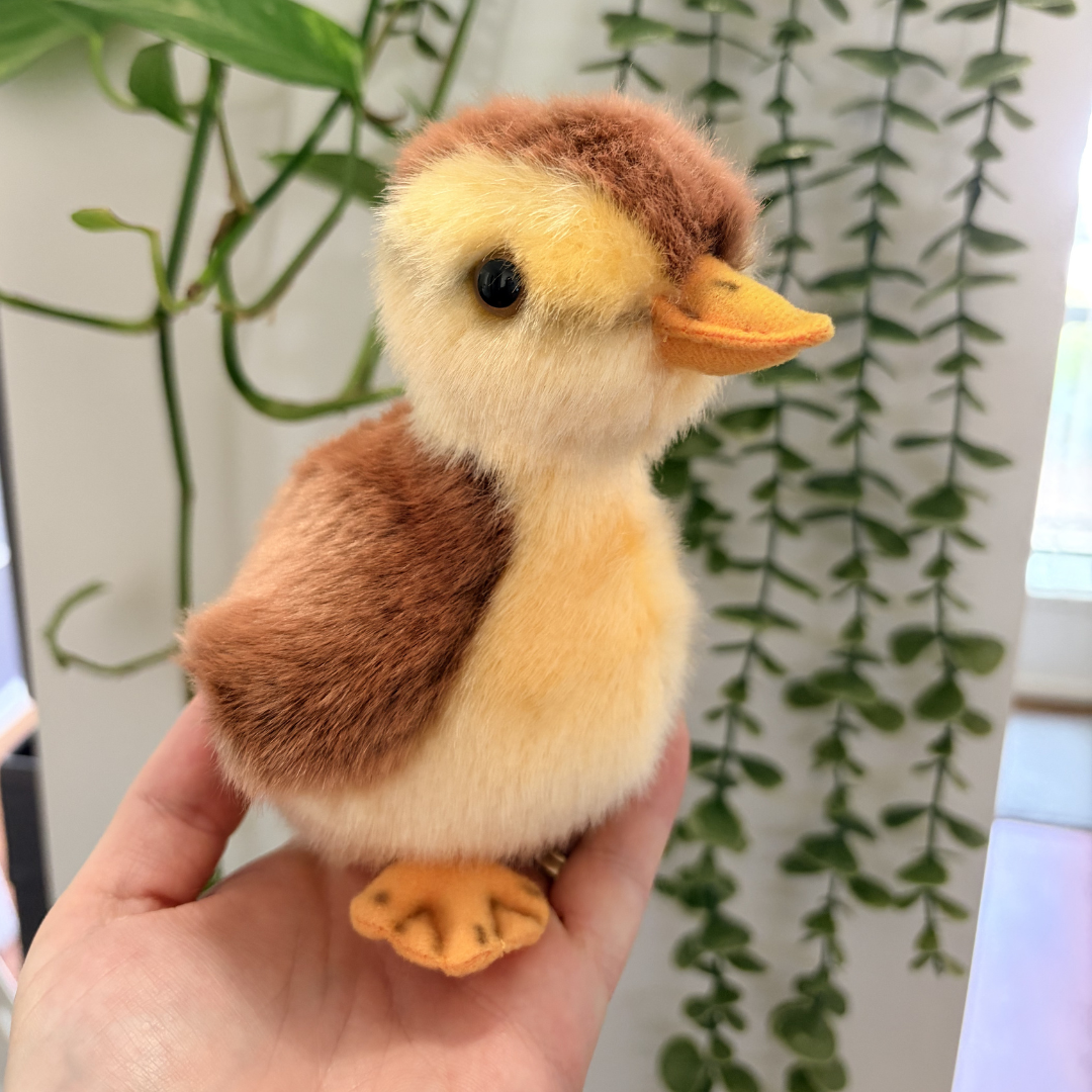 Stuffed duck toy held in a hand with a plant in the background