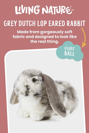 Living Nature Dutch Lop Rabbit
