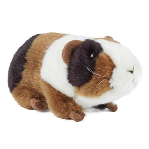 Guinea Pig Plush Toy on white background.