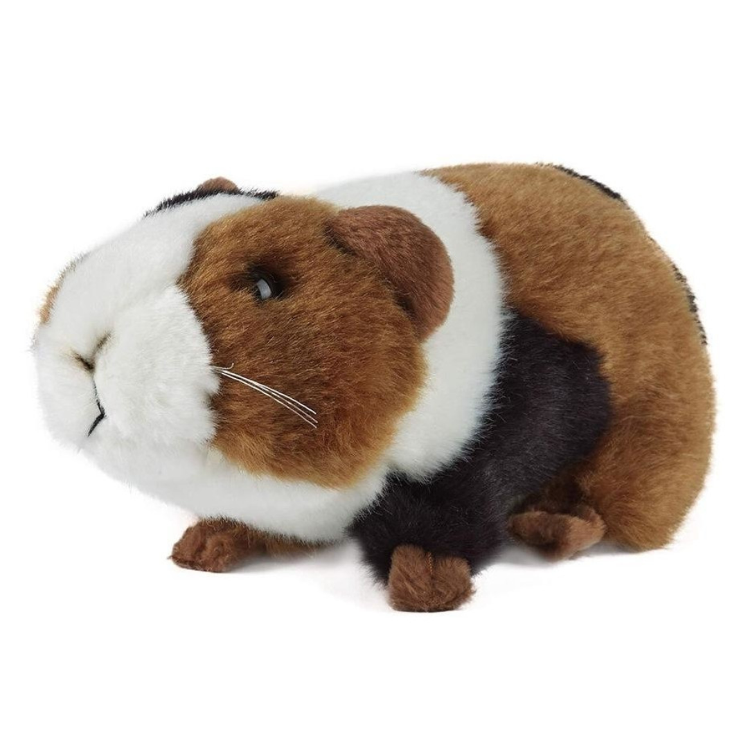 Guinea Pig Plush Toy on white background.