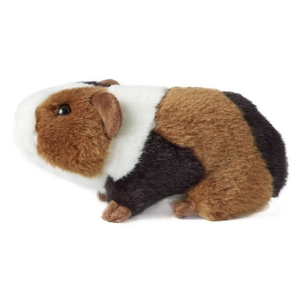 Guinea Pig Plush Toy on white background.