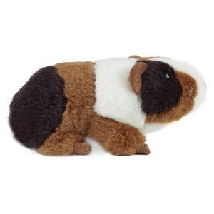 Guinea Pig Plush Toy on white background.