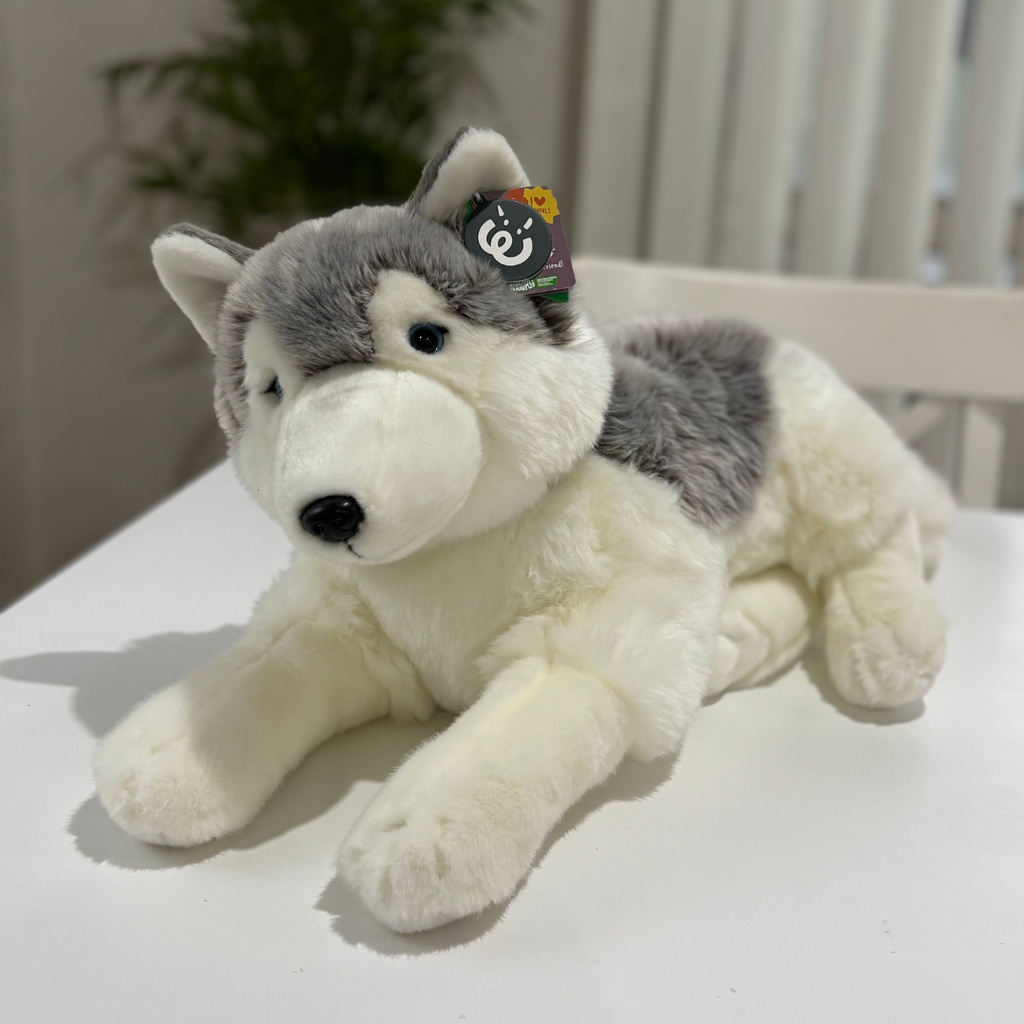 Plush toy husky lying on a white surface with a blurred background