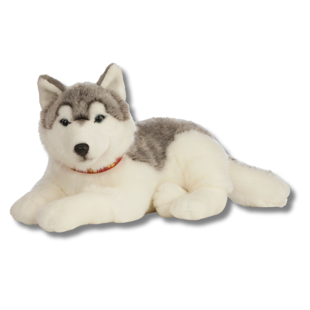 Plush toy husky lying down on a white background