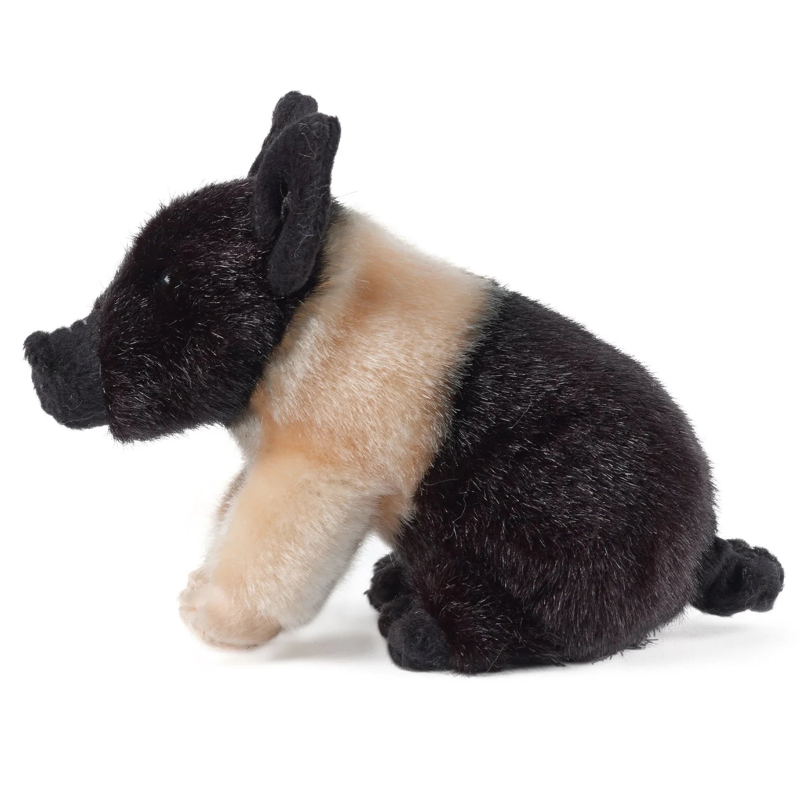 Plush toy of a pig on a white background